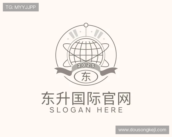 介绍东升国际官网